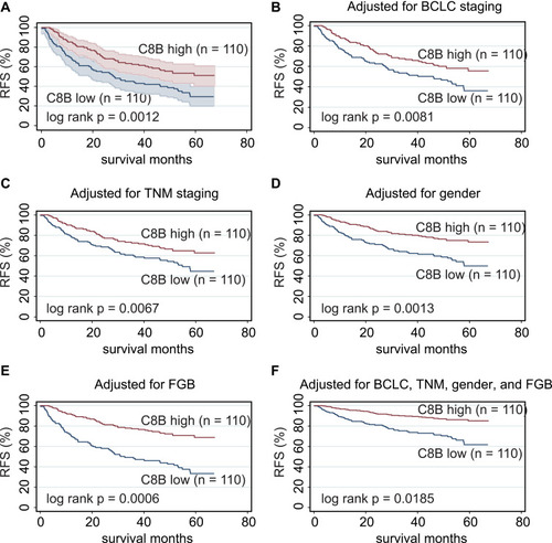 Figure 3 Kapan–Meier plot revealed that high levels of C8B in tumor tissues were significantly associated with favorable recurrence-free survival (RFS) in HBV-related HCC patients (p = 0.0012, (A); high levels of C8B were significantly correlated with better RFS in HBV-related HCC patients, after adjusting BCLC staging (p = 0.0081, (B), TNM staging (p = 0.0067, (C), gender (p = 0.0013, (D), and FGB expression (p = 0.0006, (E); even adjusted by BCLC, TNM, gender, and FGB levels, C8B upregulation also contributed to favorable RFS in this population (p = 0.0185, (F)).