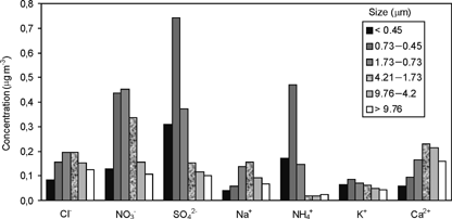 FIG. 2 Average ionic concentrations of atmospheric particulate fraction collected at Vitoria. Period: January 1995 to December 2000. Units: μg m−3.