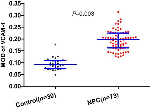 Figure 2 Levels of VCAM-1 expression in inflammatory controls and patients with NPC. The expression of VCAM-1 in NPC (0.1946 ± 0.0415) was significantly higher than that in chronic inflammatory tissue (0.0944 ± 0.0245).