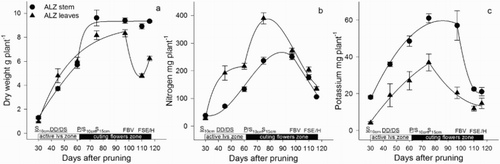 Figure 4. Dry weight (a), N (b) and K (c) accumulated in the stem and leaves of the active leaves zone (ALZ) of roses during the development of the zone of active leaves and zone of cutting flowers, including the harvest. DD = debudding of the active leaves zone, DS = deshooting of the active leaves zone, P = pinch of the active leaves zone, S10 cm = shoots of the cutting flowers zone with 10 cm length, S15 cm = shoots of the cutting flowers zone with 15 cm length, FBV = flower buds visible in the cutting flowers zone, FSE = flower stem elongation in the cutting flowers zone, H = harvest of flower. Bars represent the standard error of the mean (n = 5).