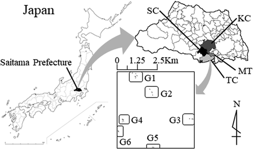 Figure 2. Location of the experimental sites in the fields of six growers. SC, Sayama City; KC, Kawagoe City; TC, Tokorozawa City; MT, Miyoshi Town; G1, 8 fields (total 0.94 ha); G2, 3 fields (0.45 ha); G3, 2 fields (0.41 ha); G4, 7 fields (0.74 ha); G5, 1 field (0.23 ha); G6, 3 fields (0.35 ha)