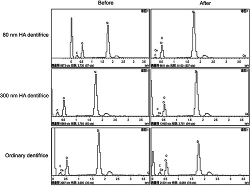 Figure 8 EDS spectra before and after dentifrice adsorbed Cr6+. The horizontal axis represents the value of the voltage (keV) at which different elements can be excited. The findings comparing between before/after diagrams for each group showed that there was chromium in the powder which was further confirmed that the HA dentifrice could adsorb Cr6+.