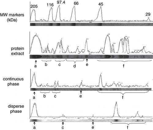 Figure 1 SDS-PAGE densitograms of proteins in the extract, the continuous and the disperse phases. a) myosin (<200 kDa); b) 120 to 100 kDa; c) 100 to 80 kDa; (d) intermediate or regulatory proteins; e) 60 to 50 kDa; and f) degradation products (<45 kDa).