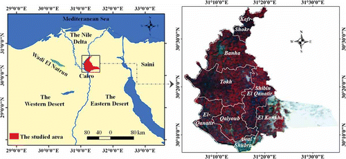 Figure 1. Location map of Qalubiya Governorate on Egypt map (left), Landsat ETM+ image of Qalubiya Governorate (FCC, 4, 3, 2) to the right.