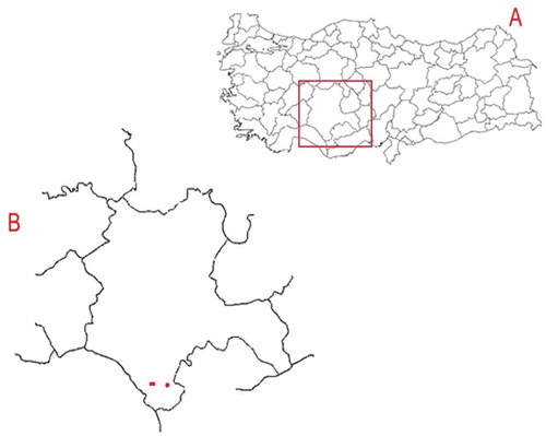 Figure 1. A map showing sampling area: A: Map of sampling site in Turkey; B: Location of vineyards in Hadim, Konya. In Figure B, the vineyard labeled with circle is located at 1000 m and rectangle at 1500 m.