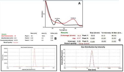 Figure 2 (A) UV-Vis absorption spectra of (a) althaea officinalis extract and (b) Green ZnO nanoparticles and (B) Determination of zeta potential (C) and size of green Zno-NPs by DLS measurement.