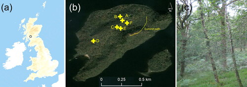 Figure 1. (a) Location of the island of Inchcailloch, in Loch Lomond, within the UK, (b) location of sampling points on the island, and (c) view of the woodland on the island.Figure Footnote: (a) © Crown copyright and database rights 2020 Ordnance Survey (100025252) (b) Source: Esri, DigitalGlobe, GeoEye, Earthstar Geographies, CNES/Airbus DS, USDA, USGS, AeroGRID, IGN, and the GIS User Community.