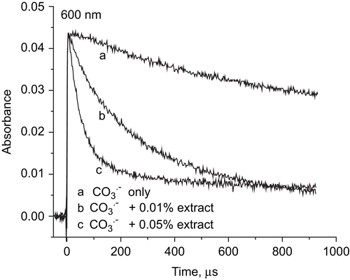 Figure 5.  The decay of the carbonate radical was monitored at 600 nm after pulse radiolysis of N2O-saturated solutions containing NaHCO3 (50 mM) and Morchella esculenta mycelium extract.