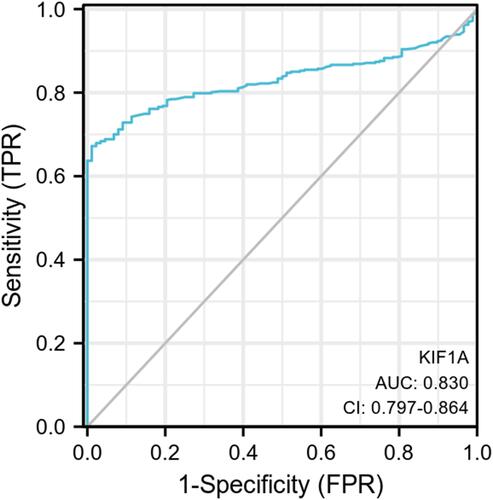 Figure 3 ROC curve showed the efficiency of KIF1A expression level for distinguish OC tissue from non-tumor tissues.
