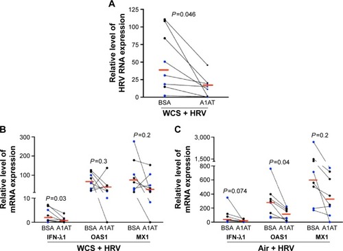 Figure 3 A1AT decreased viral load in WCS-exposed human bronchial epithelial cells.