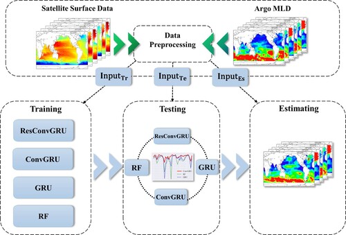 Figure 3. Schematic of the experiment modeling procedure. The MLD estimation is divided into four steps: data preprocessing, model training, accuracy testing, and MLD estimation.