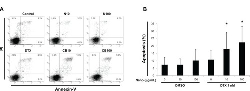 Figure 8 Effects of MgNPs-Fe3O4 and docetaxel (DTX) alone or in combination on apoptosis in DU145 cells. (A) representative FCM using Annexin V/PI staining of one set of triplicate experiments. N10: MgNPs-Fe3O4 (10 μg/mL); N100: MgNPs-Fe3O4 (100 μg/mL); DTX: DTX (1nM); CB10: DTX (1nM) + MgNPs-Fe3O4 (10 μg/mL); and CB100: DTX (1 nM) + MgNPs-Fe3O4 (100 μg/mL). (B) Percentages of apoptotic cells from FCM analysis.Notes: Data are presented as the mean ± SD of three independent experiments. Results show that the combination of 10 μg/mL or 100 μg/mL of MgNPs-Fe3O4 with 1 nM of DTX induced significant apoptosis in DU145 cells compared to untreated cells, cells treated with 10 μg/mL or 100 μg/mL of MgNPs-Fe3O4 alone, or 1nM of DTX alone (*P < 0.05).Abbreviations: MgNPs-Fe3O4, Fe3O4 magnetic nanoparticles; DTX, docetaxel; PI, propidium iodide; DMSO, dimethyl sulfoxide; FCM, flow cytometry analysis; SD, standard deviation.