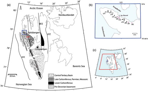 Figure 1. (a) The Svalbard Archipilago with its Tertiary affected section along the transform Hornsund Fault Zone (HFZ) highlighted. The map includes locations of Carboniferous basin strata: the Billefjorden Trough adjacent to the Billefjorden Fault Zone (BFZ), the Lomfjorden Fault zone (LFZ), Inner Hornsund Trough (IHT) and St. Jonsfjorden Trough (SJT). Note also the Tertiary Forlandsundet Graben just south of Brøggerhalvøya. The map is modified and redrawn from Bergh et al. (Citation2000) and Saalmann & Thiedig (Citation2002). (b) The MT studied area on Brøggerhalvøya, also represented in (a) and (c) with blue frames. The MT sites are indicated by the black dots and the pink dots denote sites with measured vertical magnetic fields in addition to the horizontal EM components. (c) The red box indicates the surface area of our 3D model.