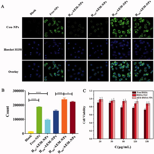 Figure 2. Cell uptake and cytotoxicity of NPs. (A) After RAW264.7 cells were incubated with coumarin-6 loaded NPs for 2 h and then stained with 4% paraformaldehyde, fluorescent images were observed by confocal microscopy. Scale bar: 50 μm. (B) The fluorescent images were observed using FCM. The data are presented as the means ± SD (n = 3). *indicates p < .05. (C) Cell viability of RAW264.7 cells incubated for 72 h with different concentrations of free-DMSA, DMSA-NLC, and AEM-DMSA-NPs. The data are presented as the means ± SD (n = 3).