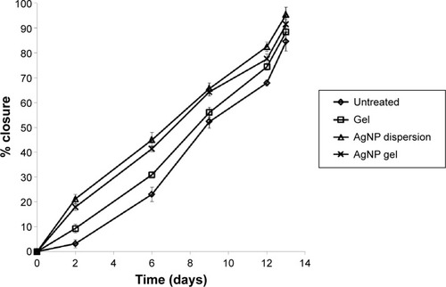 Figure 8 Percentage mean wound closure over a period of 13 days, measured morphometrically.Note: n=10 in all groups, except for the untreated group, where n=8.Abbreviation: AgNP, silver nanoparticle.