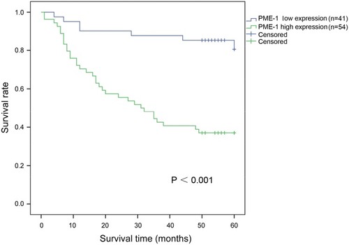 Figure 3 PME-1 expression was correlated with poor survival. Kaplan–Meier analysis and Log rank test showed that patients with high expression of PME-1 had a shorter survival time than that with low PME-1 expression (P < 0.001).