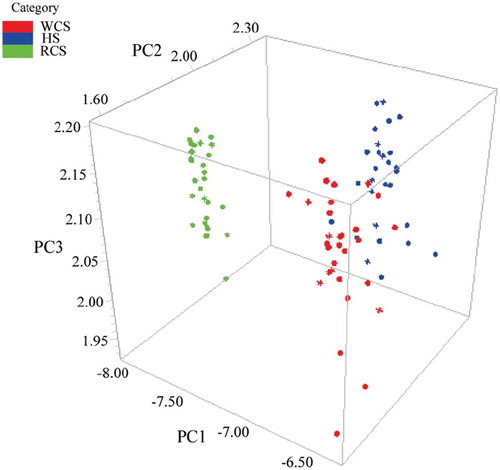 Figure 4. Three-dimensional score plot using PC1, PC2, and PC3 for discriminating three marine fish surimi (white croaker surimi (WCS), hairtail surimi (HS), and red coat surimi (RCS)).