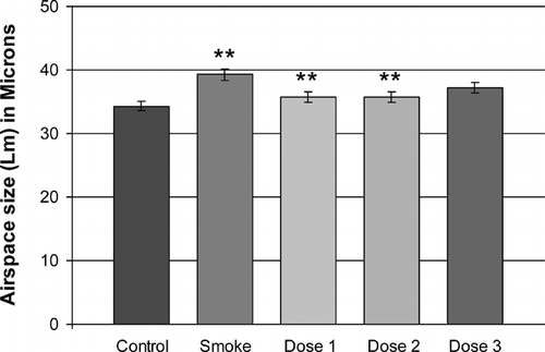 Figure 4. Airspace enlargement in response to cigarette smoke exposure and rAAT treatment. Smoke-treated mice (Smoke) have significantly increased emphysema (p < 0.01, marked with two asterisks) when compared with age-matched non-smoke-exposed control mice (Control). rAAT-treated mice exhibited significantly less airspace enlargement in Dose 1 and Dose 2 groups (71% and 73% respectively, p < 0.01 vs. smoke-treated, marked with two asterisks). In the Dose 3 group there was a lower level of protection by rAAT (42%, p = 0.1 vs. smoke-treated) against the effects of chronic cigarette smoke administration, see Results.