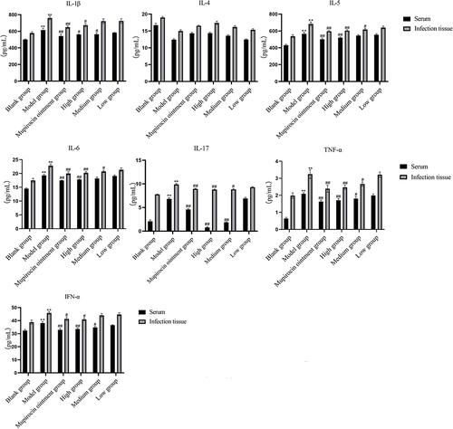 Figure 7 Comparison of IL-1β, IL-4, IL-5, IL-6, IL-17, TNF-α, and IFN-γ contents in the serum and skin tissues of rats in each group (x±s).