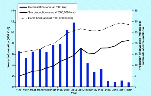 Figure 5.  Annual deforestation, annual soy production and the size of the cattle herd (number of head) of Mato Grosso State, Brazil.Adapted from Citation[1].
