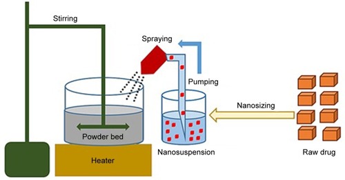 Figure 1 Schematic diagram of the downstream solidification process.