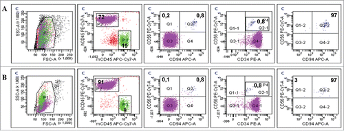Figure 10. Residual evNK at day 28 are CD94-positive. Representative dot plots of CD56, CD94 and CD34 expression in blood isolated from AML-engrafted NSG mice injected with either evNK (A) or NKhd (B) at day 28 after the first NK cell intravenous injection. Anti-human CD45, CD56 and CD94 antibodies were used for NK identification. Anti-human CD45 and CD34 antibodies were used for AML identification. Bold numbers represent the percentage of cells in the corresponding quadrant. The percentages indicated in the third to fifth columns are calculated within human cells (P2 gate, hCD45+).
