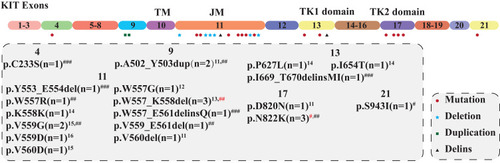 Figure 3 KIT mutations loci and subtype.