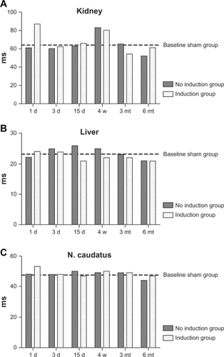 Figure 2 Comparison of the half-life values in milliseconds of the decay curves in all tested (A) livers, (B) kidneys, and (C) nucleus caudatus of animals with implanted patches. For better visualization, the mean values for the sham-operated group is marked as a bar. The values show no systematic variation, regardless of whether a sham-operated, induction, or no induction group. Variation of values in the kidney is probably a normal phenomenon caused by nonhomogeneous regions of interest regarding the constantly changing water content. The same amplitude of variation can be found in the sham group.