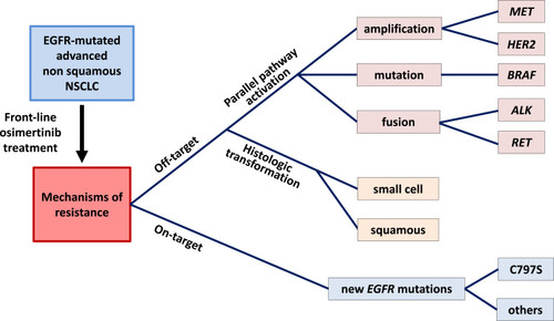 Figure 1 The tree structure of main resistance mechanisms to first-line osimertinib in advanced EGFR-mutated NSCLC.