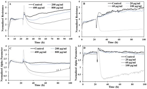 Figure 3 Representative normalized resistance of BEAS-2B cells after exposure to (A) MIL-160 and (B) ZIF-8 at doses below, at and above their determined IC50 values. Representative normalized alpha parameter for BEAS-2B cells after exposure to (C) MIL-160 and (D) ZIF-8 at doses below, at and above their determined IC50 values.