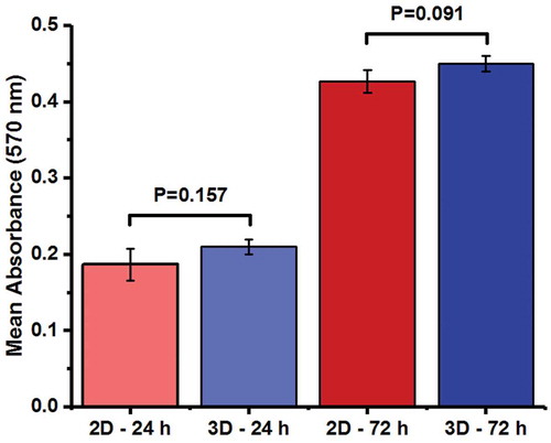 Figure 2. MTT reducing activity of SSCs cultured in 2D or 3D (agar/PVA scaffold) medium at 24 h and 72 h after seeding. Each experiment was conducted in triplicate. Data represent the mean ± SD.