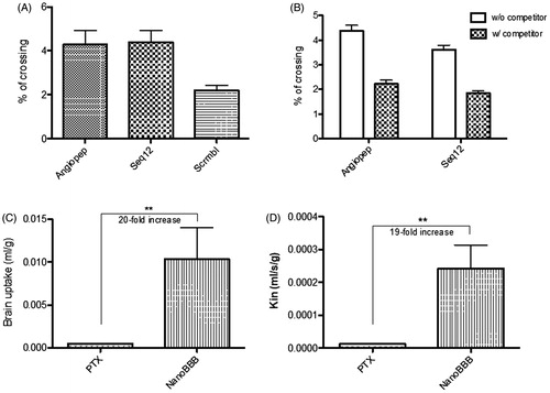 Figure 4. –(A) BBB crossing percentage of Angiopep-2 (ANG), Seq12, and SCRB (random; scrambled) peptide sequences and –(B) BBB crossing percentage of fluorescently-labeled Angiopep-2 and Seq12 in the absence (W/O competitor) and presence (W/ competitor) of an unlabeled competitor; –(C) Brain uptake and D - Kin parameter of free PTX (PTX) and PTX-NPs (Nano-BBB). **p < .01.