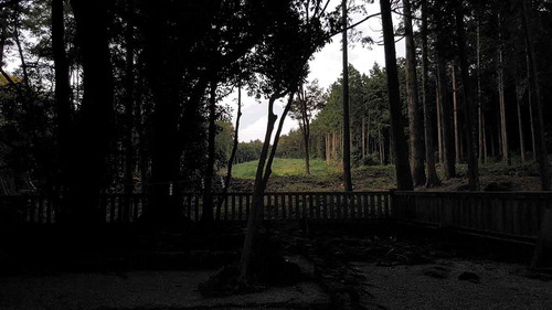 Figure 2. Yamamiya shrine’s concrete fence and prayer space with lava stones. Mt Fuji can be seen as a shadow behind the plantation forest. Originally the prayer space was surrounded by natural lava stone mounds.(Source: author).