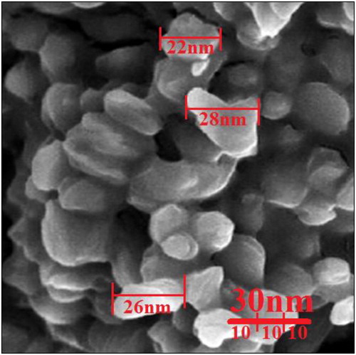 Figure 4. FE-SEM image of copper nanoparticles.