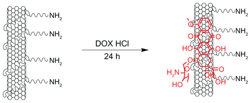 Figure S1 Schematic illustration of the SWNT-DOX. The DOX can be attached to SWNT through supramolecular bond.Abbreviations: SWNT, single-walled carbon nanotube; DOX, doxorubicin.