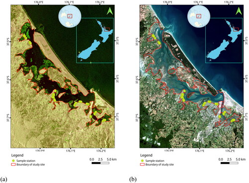 Figure 1. Study site – Tauranga Harbour in the illustration of (a) Sentinel-1 (date of acquisition 31 March 2020, pseudo colour using the combination of VH-VV-VH); (b) Sentinel-2 (date of acquisition 5 April 2020, pseudo colour using the combination of ρRed–ρGreen–ρBlue) and the ground truth points during the field survey.