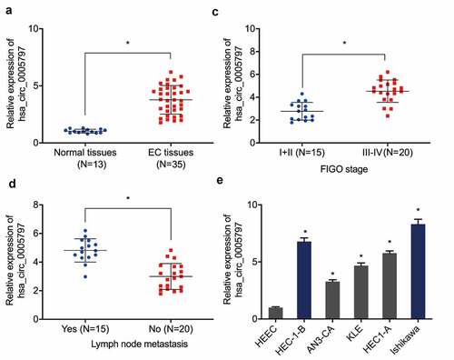 Figure 1. Hsa_circ_0005797 is elevated in patients with EC. (a) Hsa_circ_0005797 expression in EC tissue. (b, c) Elevated hsa_circ_0005797 levels in EC tissues are associated with advanced Federation of Gynecology and Obstetrics (FIGO) staging, and lymph node metastasis. (d) Hsa_circ_0005797 expression in EC cells. *P < 0.05.