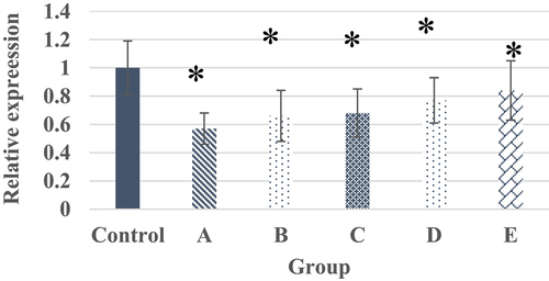 Figure 10. The target protein content of each group of samples.