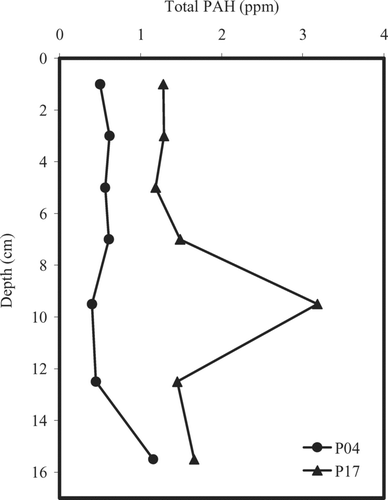 FIGURE 4 Total PAH concentrations (ppm) with depth (cm) for core sections from P17 for P04 cores.