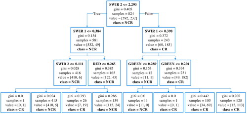 Figure 5. Decision tree produced for real OLI-Landsat 8 pixels with carbonate rocks against other present materials including many types of vegetation, bare soil, and minerals. In agreement with the previous experiment, it also indicates the SWIR region with the best discriminating parameter, followed by visible channels. Similar to what was made in the simulated experiment, the carbonate samples were grouped standing by CR class, whereas the remaining non-carbonate classes were all merged to represent NCR class.