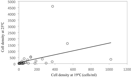 Figure 4. Two-way analysis of variance results for the relationship between the cell density of Microcystis cultured at 19°C and under 25°C.