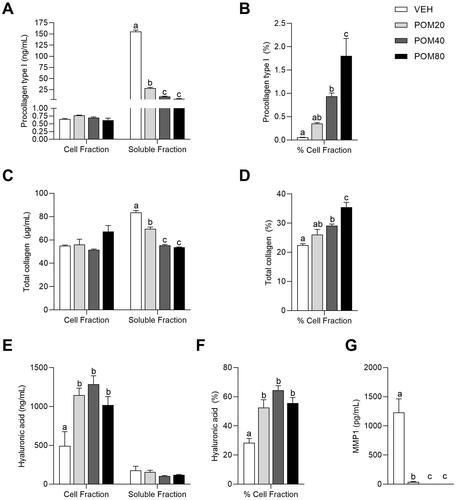 Figure 2. Pro-collagen type I levels in the cell and soluble fractions (A) and percentage of pro-collagen type I in the cell fraction relative to the total quantified (B), total collagen levels in the cell and soluble fractions (C) and percentage of total collagen in the cell fraction (D), hyaluronic acid levels in the cell and soluble fractions (E) and percentage of hyaluronic acid in the cell fraction (F) and MMP-1 levels in the soluble fraction (G) in human fibroblasts Hs68. Data are expressed as mean ± SEM (n = 3). abcMean values represented with different letters are significantly different from each other (One-way ANOVA, Duncan post-hoc, p < 0.05).