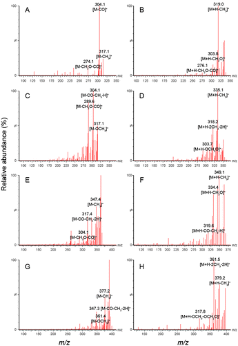 Fig. 3. MS/MS Spectrum of Eight Target Benzo[c]phenanthridine Alkaloids Analyzed by ESI-MS/MS.Notes: (A) sanguinarine; (B) dihydrosanguinarine; (C) chelerythrine; (D) dihydrochelerythrine; (E) chelirubine; (F) dihydrochelirubine; (G) macarpine; (H) dihydromacarpine.