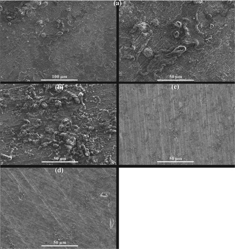 Figure 7. High magnification SEM results of steel surfaces after 24-hour immersion in 1.0 M HCl without CI (a), and with CI at (b) 100 ppm, (c) 1000 ppm and (d) 3000 ppm.