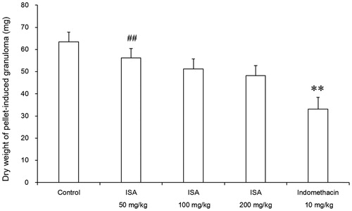 Figure 5. Effects of ISA at different doses on cotton pellet-induced granuloma in rats (n = 10/group). Error bars indicate standard error of mean. **p < 0.01, compared with the control group. ##p < 0.01, compared with the indomethacin group. The control group received distilled water (10 mL/kg), and the reference drug was indomethacin (10 mg/kg).