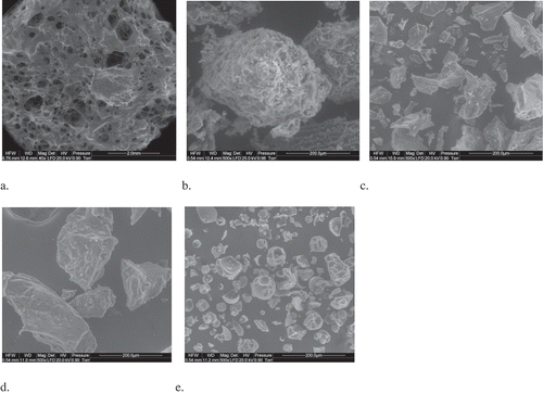 Figure 2. Microstructure of fresh blackcurrant and dried blackcurrant powders as shown by scanning electron microscopy. a. fresh fruit, b. FBJD powder, c. FD powder, d. CD powder e. SD powder.FBJD – fluidized bed jet drying; FD – freeze-drying; CD – convection drying; SD – sprayFigura 2. Microestructura de polvos de grosella negra fresca y de grosella negra seca, como se muestra mediante microscopía electrónica de barrido. a. fruta fresca, b. FBJD en polvo, c. Polvo FD, d. CD en polvo e. SD polvo.FBJD - secado por chorro de lecho fluidizado; FD - liofilización; CD - secado por convección; SD - secado por pulverización