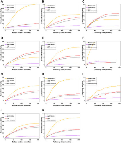 Figure 3 Cumulative mortality curves by follow-up time in different MBC patient subgroups. (A–C) Patients aged 35–64 years (A), 65–79 years (B), and 80+ years (C). (D–F) Patients with localized (D), regional (E), and distant (F) cancer. (G–I) White (G), black (H), and other ethnic group (I) patients. (J and K) Patients with low-grade (J) and high-grade (K) cancer.
