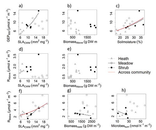 Figure 2. Full model variable relationships when plotting one variable and keeping the others constant. Relationships are across community and within community, based on growing-season measurements in alpine Empetrum-heath, meadow, and Salix-shrub plant communities in Dovre Mountains, central Norway (n = 17). Lines drawn are for significant variables across (red) and within community (black dashed line), tested with a likelihood-ratio test (Chi-square test) performed on backward model selection (drop1 function in R). Top (A–C): Gross ecosystem photosynthesis standardized to 600 PAR (GEP600; µmol m−2 s−1) and the variables community-weighted means of specific leaf area (SLACWM; mm−2 mg−1), total aboveground biomass (Biomasabove; g DW m–2), and soil moisture (%). Middle (D,E): Estimated aboveground respiration standardized to 20°C (Rabove; µmol m–2 s–1) and the variables SLACWM and Biomassabove (g DW m–2). Bottom (F–H): Estimated belowground respiration standardized to 10°C (Rbelow) and the variables SLACWM, root biomass (Biomassroots; g DW m–2), sum of all measured microbial activity (Microbessum; nmol h–1 m–2). Biomass roots and Microbessum was summed across the total soil pit with mean depth 56 ± 8 cm.