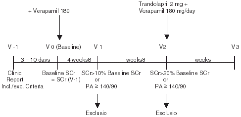 Figure 1. Scheme of the study.