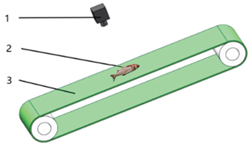 Figure 1. Schematic diagram of the acquisition device. 1- Camera, 2- Freshwater, 3- Conveyor Belt.